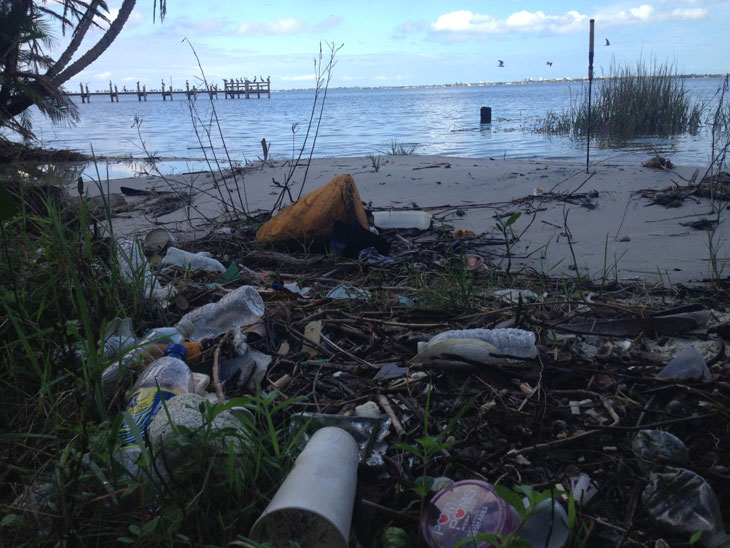 Litter mars the shoreline of the Indian River Lagoon. Photo by Keep Brevard Beautiful Inc.