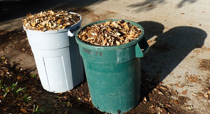 Two cans filled with leaves for curbside pick-up. This is the proper way to dispose of leaves and other yard debris.