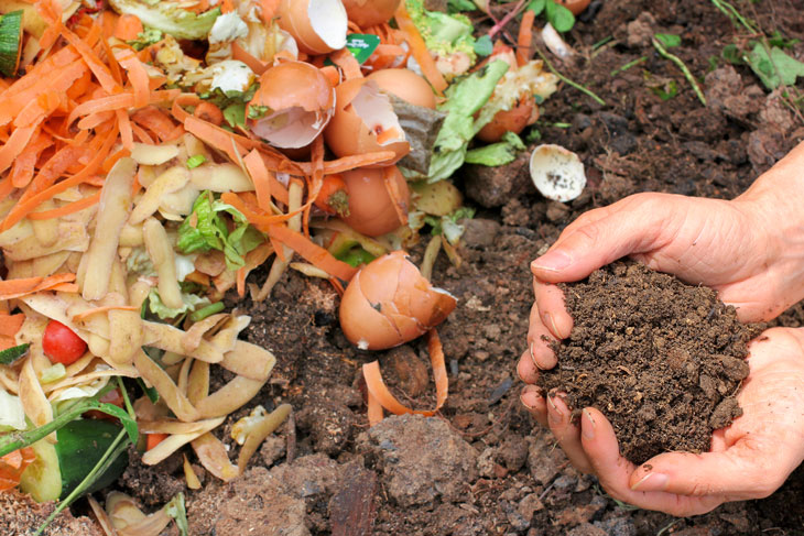 Vegetable scraps and egg shells on one side, good rich soil on the other. Photo from iStock.com