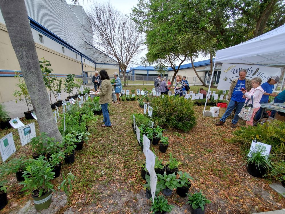 People look at plants with labels on the ground.