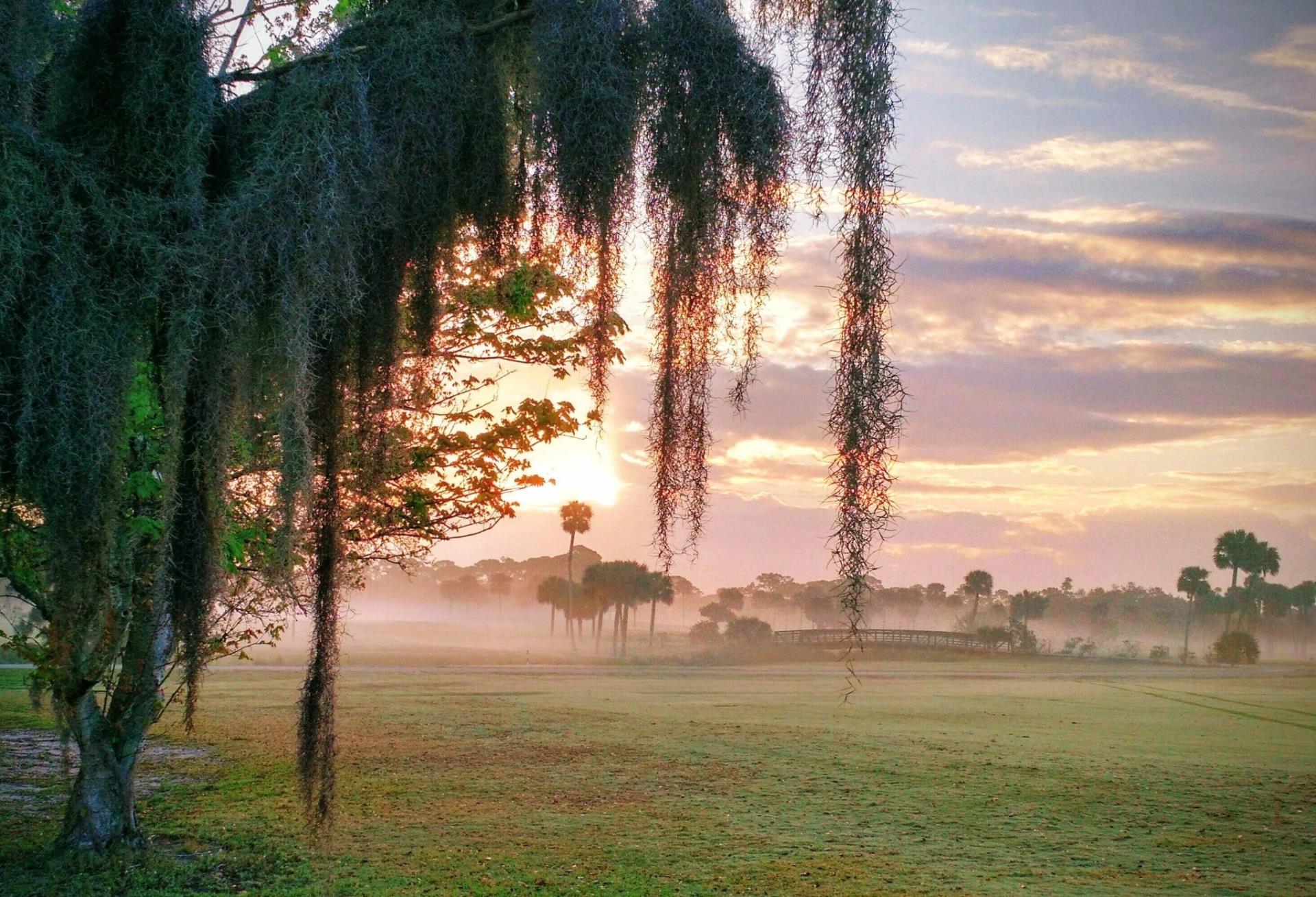 Sunrise over Crane Creek Reserve Golf Course